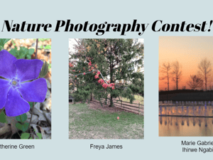 Catherine G Freya J Marie N nature photography